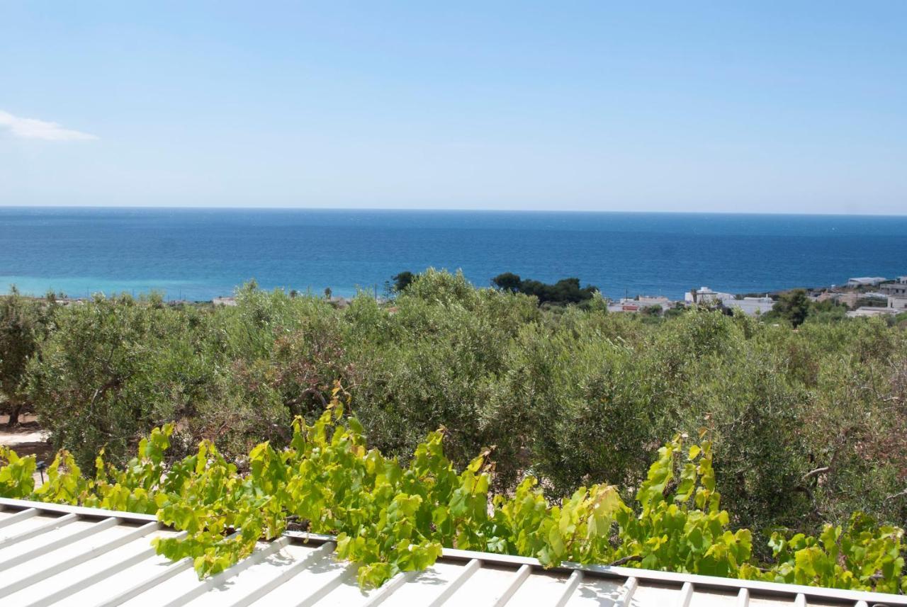 La Mennula Garden Appartement Salignano  Buitenkant foto